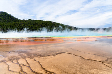 Steam rises from the colorful Grand Prismatic Spring at Yellowstone National Park in Wyoming on a sunny day, with trees, mountains, and sky in the background