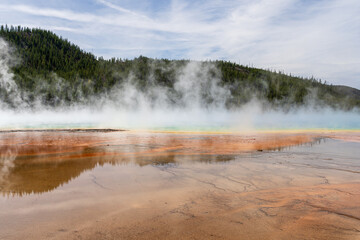 Steam rises from the colorful Grand Prismatic Spring at Yellowstone National Park in Wyoming on a sunny day, with trees, mountains, and sky in the background