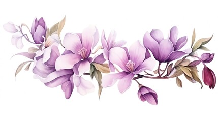 Magnolia, Watercolor Floral Border, watercolor illustration, isolated on white background