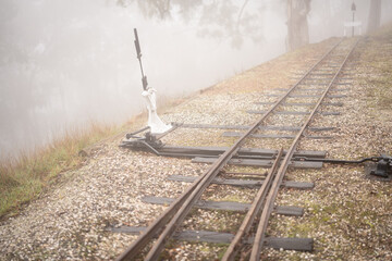 Railway in the forest at Seymour, Australia