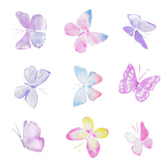 Butterflies on a transparent background, colorful butterflies, insects, pastel butterfly ,purple , pink , blue ,hand drawn watercolor illustration