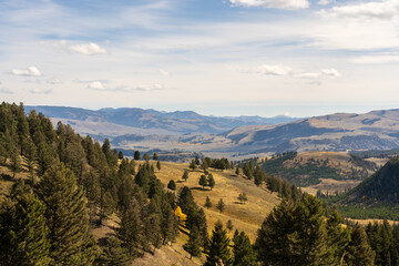 Fototapeta premium View from Blacktail Plateau Drive near the Lamar Valley in Yellowstone National Park on a sunny fall day in Wyoming