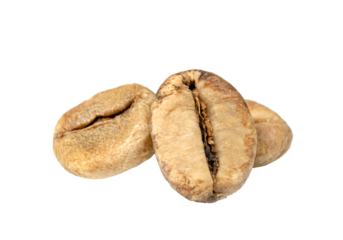 Coffee beans isolated