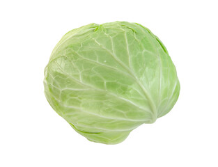 Fototapeta premium cabbage isolated,Green leaves pattern
