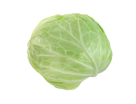 cabbage isolated,Green leaves pattern