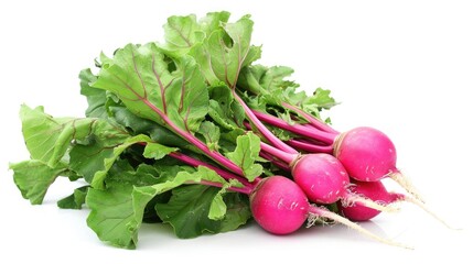 Fresh Radish on a white background