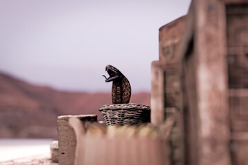 Black cobra into a wicker basket at the oriental bazaar