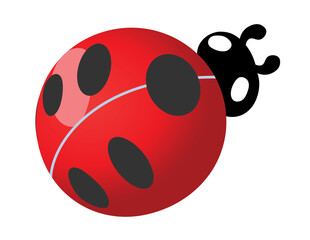 Fototapeta premium Ladybug isolated on transparent background.