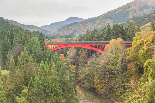 Beautiful Autumn Colors From The Train Of Akita Nairiku Line, Tohoku, Japan