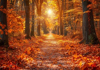 A quiet forest path blanketed in autumn leaves, with sunlight filtering through the trees. The dappled light creates a peaceful ambiance, perfect for text about the beauty of life's journey.