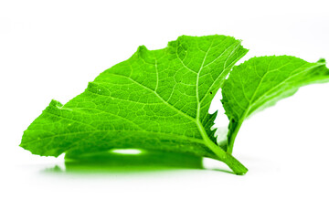 Pumpkin leaves isolated on white background
