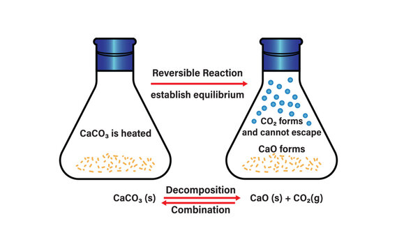 reversible, reactions, vector, presentation, law, graph, chart, growth, diagram, learning, chemical, scientific, experiment, formula, chemical reaction, backward, calculate, change, chemical equilibri