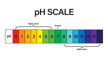 pH SCALE. pH scale Vector scientific graph. pH scale indicator chart diagram with an arrow. Acid and alkaline solutions. acid-base balance infographic. A pH scale on a white background.