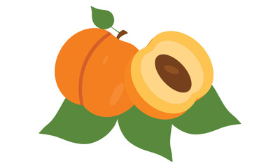 Peach Vector And Illustration Design . 