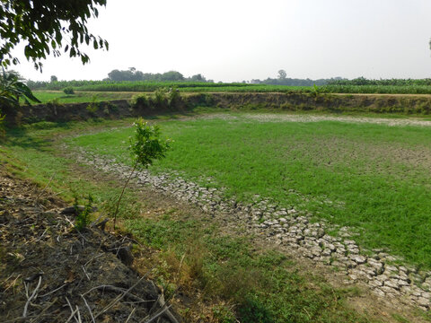 The Ooyse Schependom dry during the summer