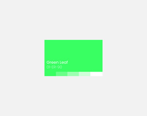 Minimal Green color swatch sampler palette design