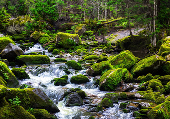 Refreshing river amid towering peaks.