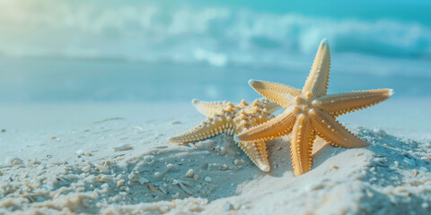 starfish on the beach