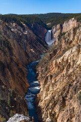 La chute d'eau du Grand Canyon du Yellowstone National Park, Wyoming.