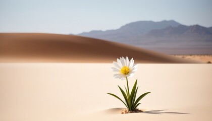 A single daisy-like flower resiliently blooms in the vast arid desert landscape under a clear sky, symbolizing hope and survival.. AI Generation
