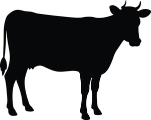 Cow black silhouettes on white background