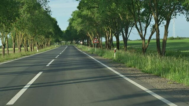Driving plate pov, view of brand new countryside road surrounded with trees in spring sunset from car in motion