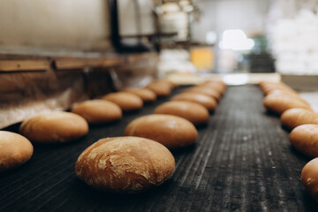 Automatic bakery production line with sweet cookies on conveyor belt equipment machinery in...
