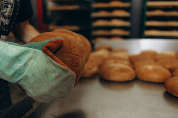Loafs of bread in a bakery on an automated conveyor belt