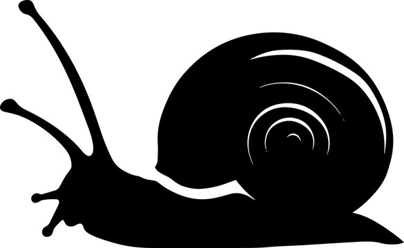 recommend clip art: Sign snail. Snail symbol. Isolated black silhouette snail on white background. Icon snail. Vector illustration. AI generated illustration.