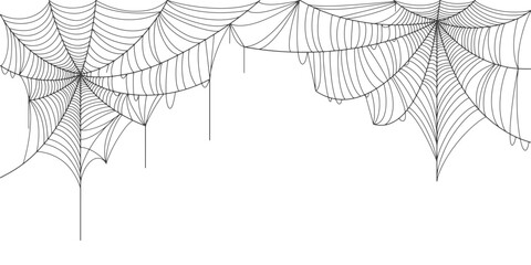 Spider web vector illustration