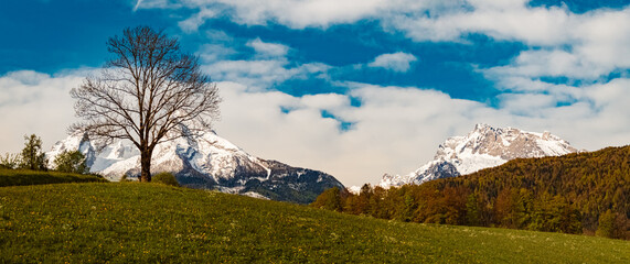 High resolution stitched alpine spring panorama with Mount Watzmann in the background near Bischofswiesen, Berchtesgadener Land, Bavaria, Germany
