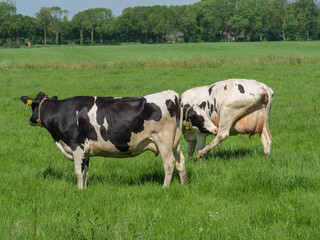 Fototapeta premium Lichtenvoorde in den Niederlanden