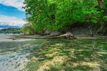 Beach Park Landscape 7