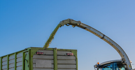 Traktor und Maishäcksler während der Maisernte 