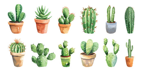 Set collection of hand drawn watercolor cactus succulents in pot desert flower garden tropical indoor plant vector illustration