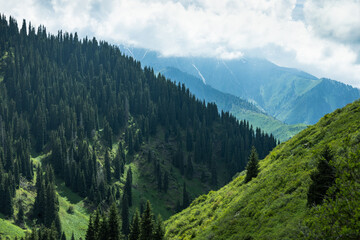Fototapeta premium Mountains in Kazakhstan, Almaty city