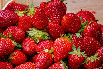 strawberries on a white background, Matera, Basilicata, Italy, Europe, March 2024