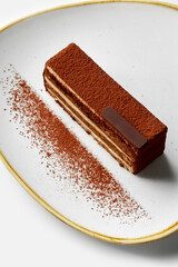 Exquisite classic Italian dessert tiramisu served on plate