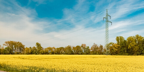 Beautiful spring view with a rapeseed field near Ettling, Wallersdorf, Dingolfing-Landau, Germany