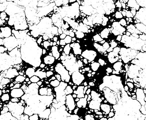 Black and White Marble Stone Vector Texture