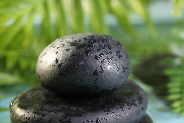 Wet spa stones on blurred background, closeup