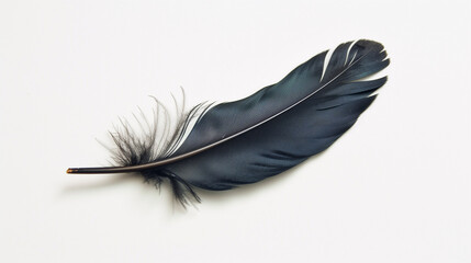A isolated black swan feather on white background delicate avian plumage closeup highcontrast photo
