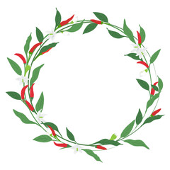 chili or paprika floral frame isolated on transparency background