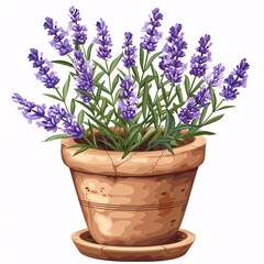 PNG illustration of a fragrant lavender plant with purple flowers in a rustic clay pot on a white background