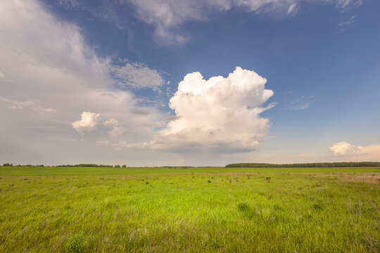 A vast open field under a sky with a single fluffy cloud, creating a serene and dreamlike atmosphere.
