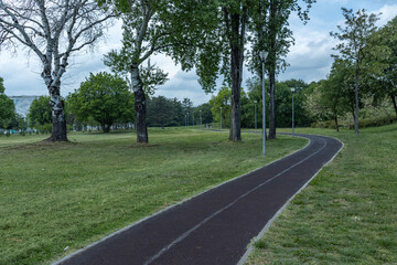  A serene park scene featuring a black asphalt jogging track surrounded by lush green grass and a variety of trees, including birch trees.