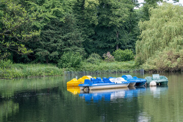pedal boats on the pond