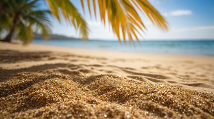 Beautiful beach surrounded by sand and palm trees. summer trips