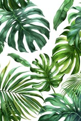 Monstera Leaf, Watercolor tropical Border, watercolor illustration, isolated on solid white background