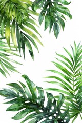 Obraz premium Palm Leaf, Watercolor tropical Border, watercolor illustration, isolated on solid white background